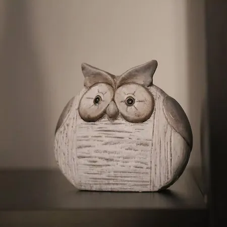 Le St Nicolas Au Coeur Du Centre Historique 公寓