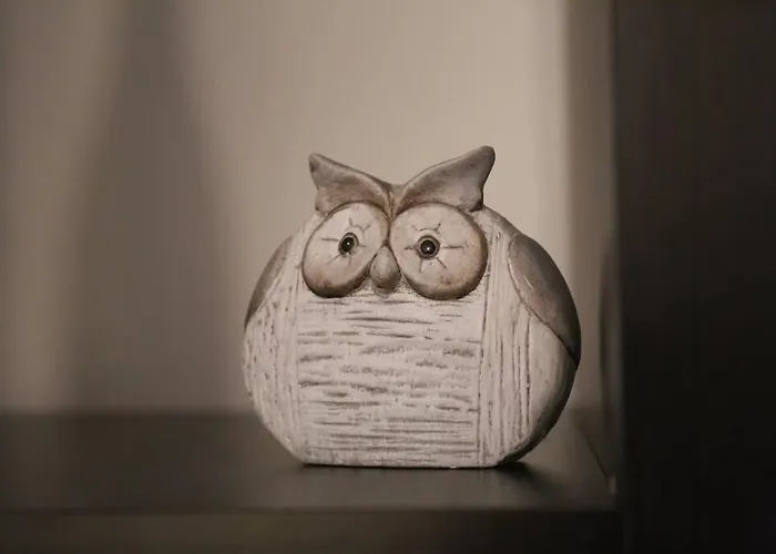 Le St Nicolas Au Coeur Du Centre Historique アパート