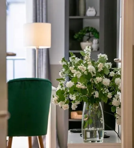 Le St Nicolas Au Coeur Du Centre Historique *